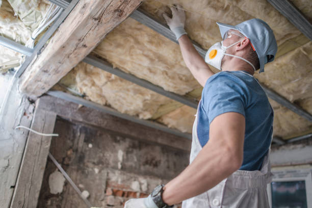 Best Insulation Repair Services  in Pilot Mountain, NC