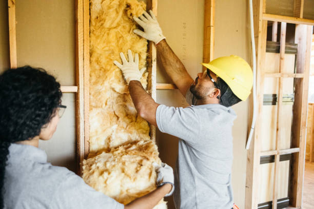 Best Affordable Insulation Services  in Pilot Mountain, NC