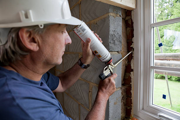 Best Local Insulation Services  in Pilot Mountain, NC