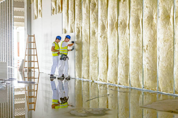 Best Spray Foam Insulation  in Pilot Mountain, NC